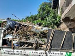 Demolition Debris Removal in Clayton, CA